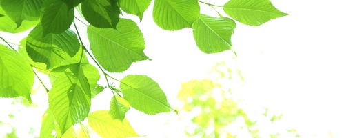 �I����Ƃ�E�I�َq�̌b�ߐ�㉮�̔��T�C�g��